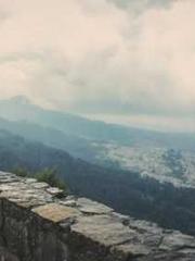 The Favorite Concubi