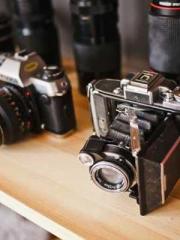 The Favorite Concubi